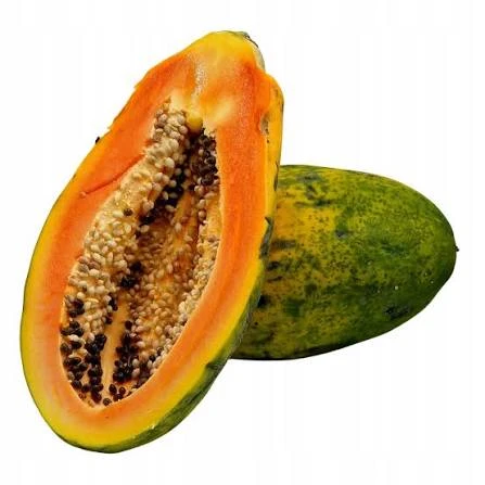 Papaja