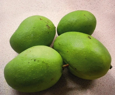 Zielone mango