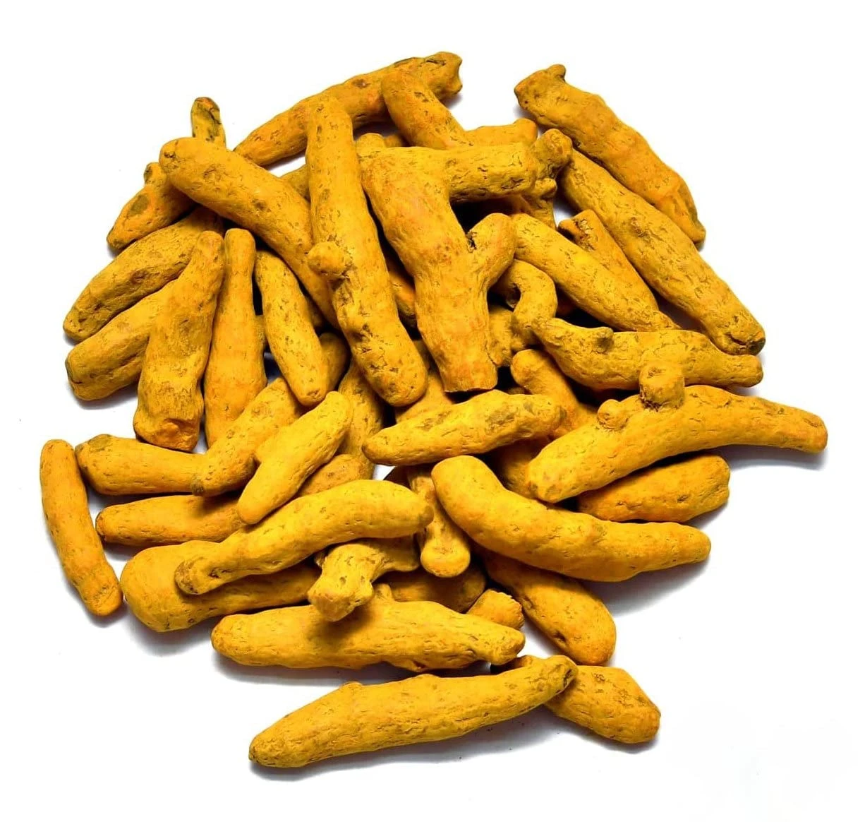 Korzeń kurkumy