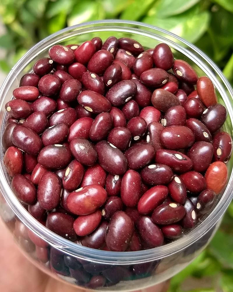 Red Kidney Beans (Rajma) 500g